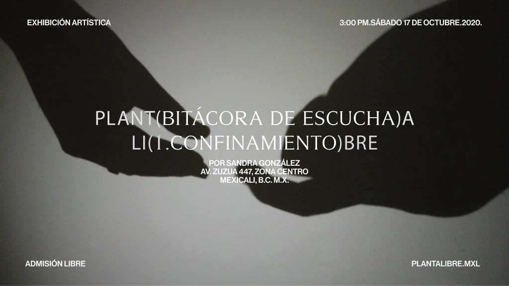Exhibición de confinamiento: bitácora de una artista