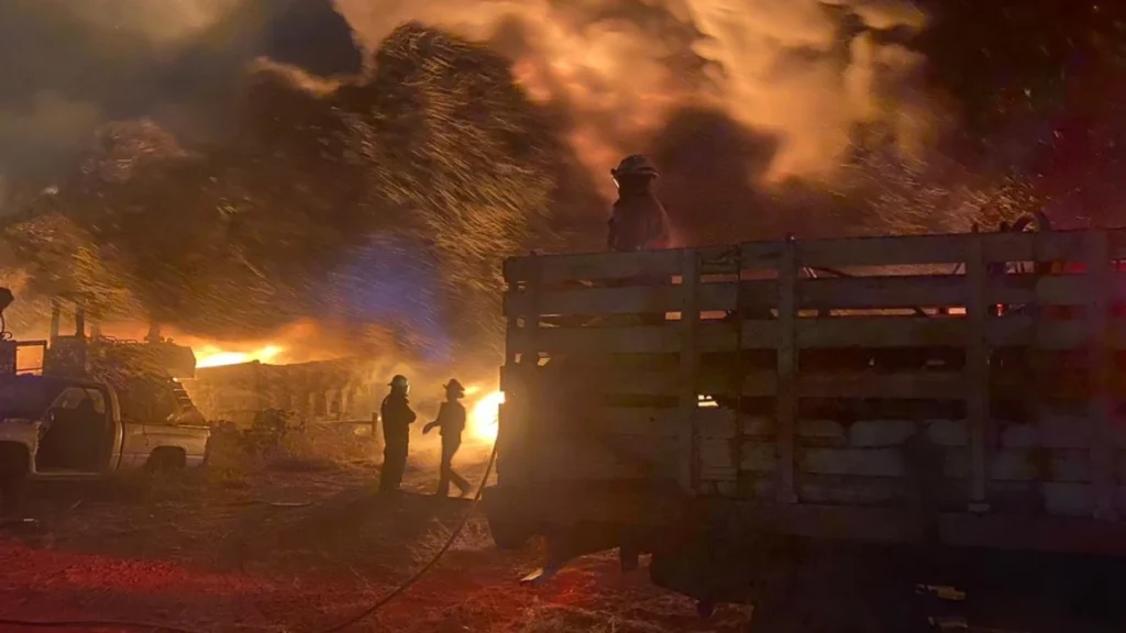 «El incendio» cuento de Nayeli Vargas Felipe